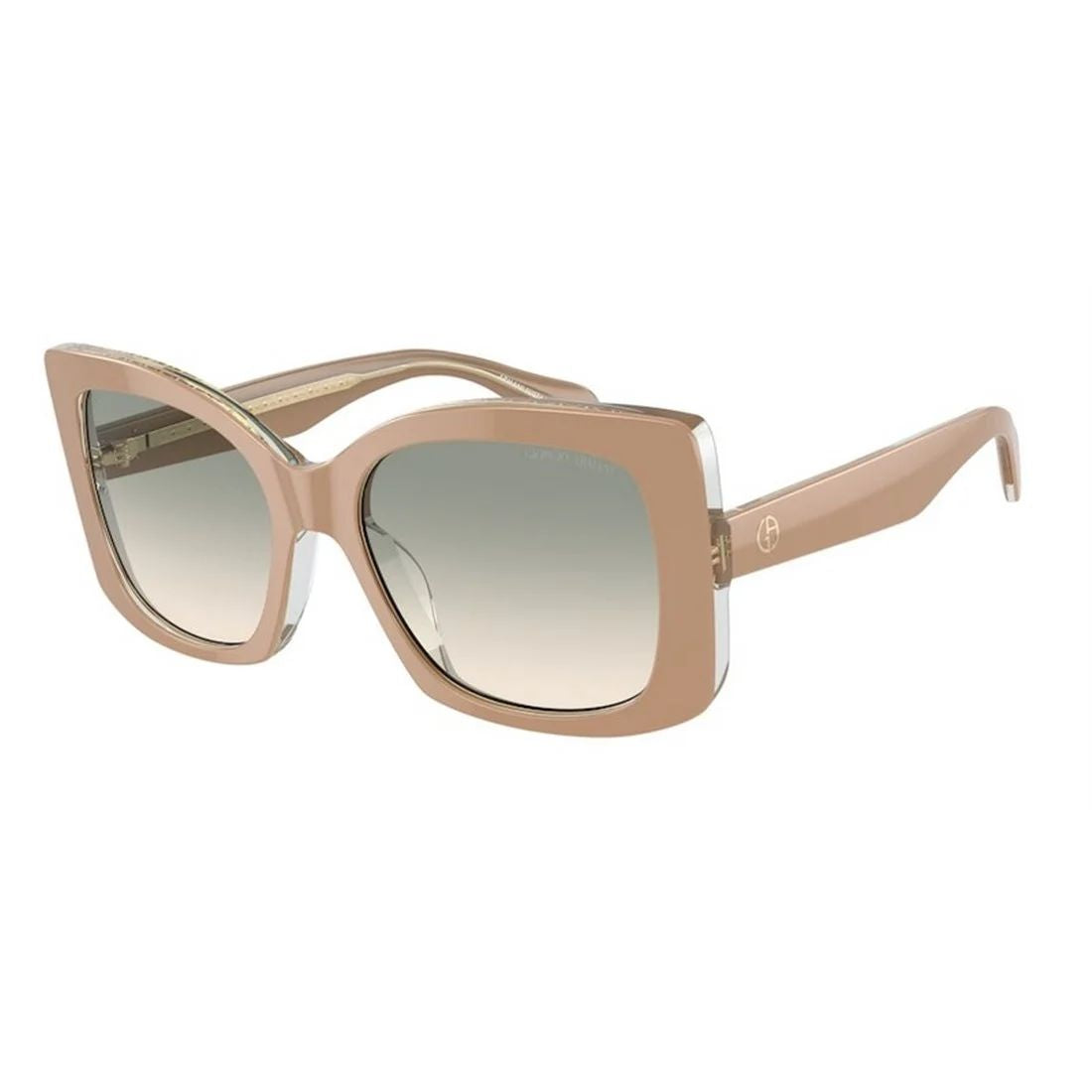 Armani AR8208U60912C
